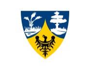 logo firmy
